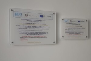 1E0FE19E-D6F4-4FE4-9B41-08DADA9FAEE9